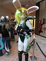 PIT_Anthrocon2013 (10)